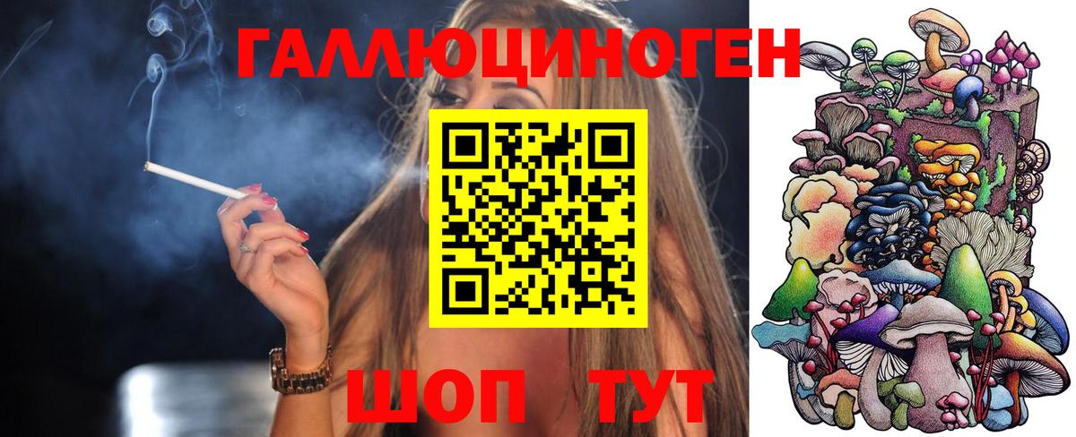 Воронеж  Псилоцибиновые грибы Psilocybe  Вход с VPN  Псилоцибиновые грибы мицелий 